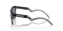 Load image into Gallery viewer, Oakley Sunglass _ Frogskins™ Hybrid 0OO9289