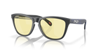 Oakley Sunglass - FROGSKINS 0OO9013