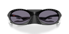 Oakley Sunglass - Plantaris