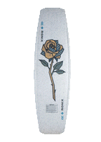 RONIX PARKBOARDS - UTOPIA VARIABLE FLEX (2024) - Blue / Rose