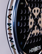 HEROES - PADEL RACKET - ANIMAL 2025