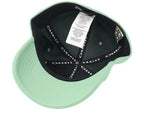 Oakley Tincan Remix Cap (Nile Green)
