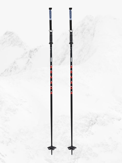 ARMADA SKI POLES - TRIAD BB