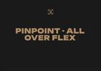 RONIX PARK BOARDS 2026 - Pinpoint - All Over Flex  - Cowboy Black
