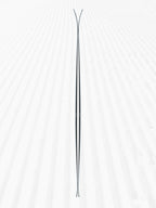ARMADA RELIANCE 82 C SNOW SKI