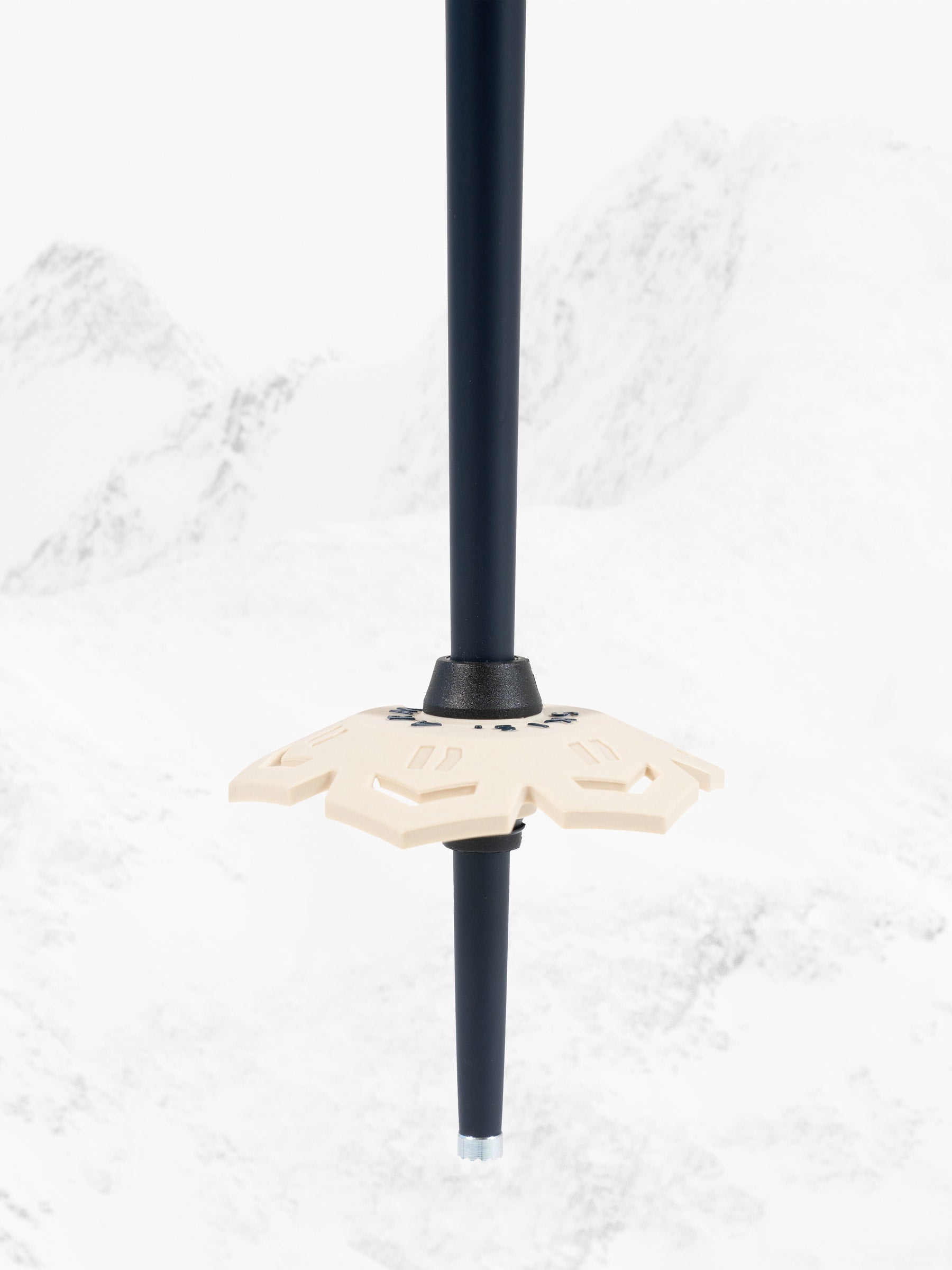 ARMADA SKI POLES - LEGION