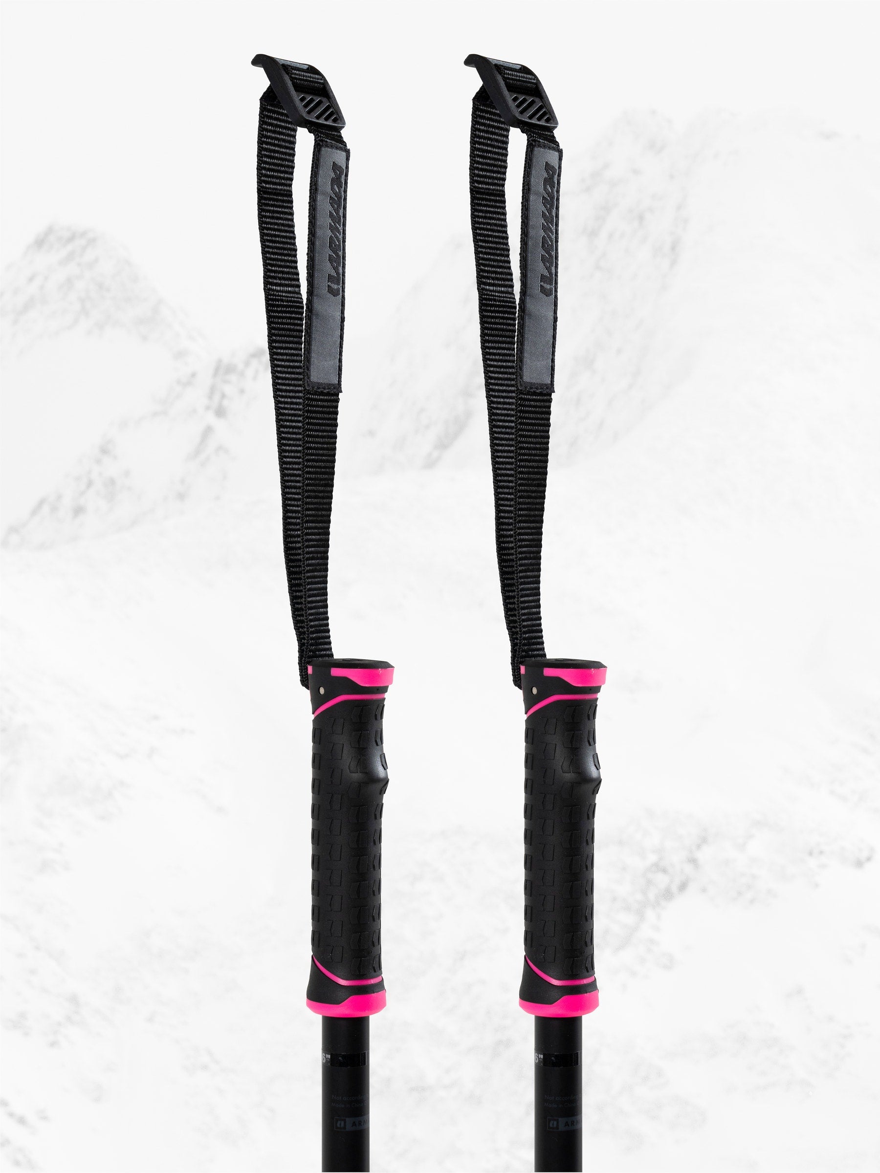 ARMADA SKI POLES - LEGION