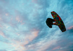 RONIX PARK BOARDS 2026 - Epic - All Over Flex  - Neon Galore