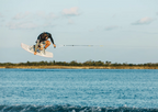 RONIX WAKEBOARDS 2026 - RXT - Blackout Technology - White / Blue / Neon