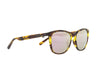 REDBULL SPECT FLY SUNGLASS