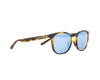 REDBULL SPECT STEADY SUNGLASSES