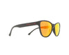 REDBULL SPECT SHINE SUNGLASS
