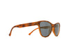 REDBULL SPECT SHINE SUNGLASS